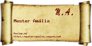 Mester Amália névjegykártya